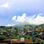 Jasa website profesional untuk bisnis di Lampung Tengah, desain responsif dan SEO optimal.