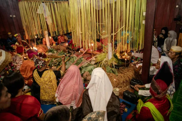 Photo by Yansen Ada' on Pexels | Jasa Website Ogan Komering Ulu Selatan illustration