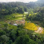 Photo by Tom Fisk on Pexels | Jasa Website Tanah Datar illustration