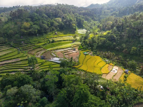 Photo by Tom Fisk on Pexels | Jasa Website Tanah Datar illustration