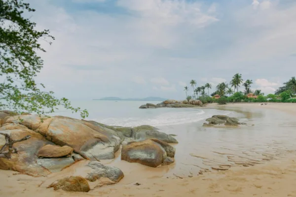 Jasa website Belitung profesional, desain responsif, SEO friendly, harga terjangkau, solusi digital untuk bisnis lokal.