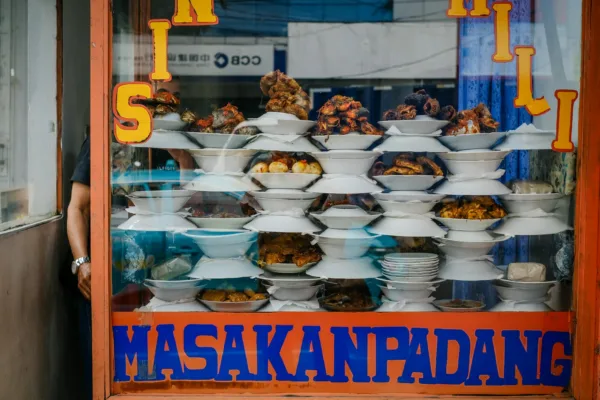 Jasa Website Padang Lawas, desain profesional murah