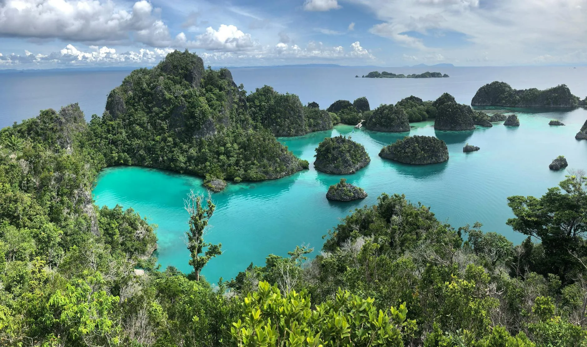 Photo by Bart ter Haar on Pexels | Jasa Pembuatan Website Raja Ampat illustration
