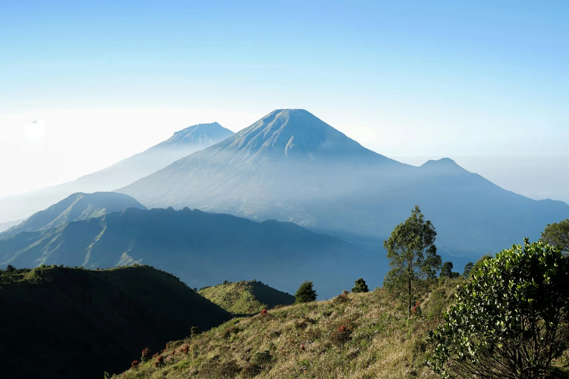 Photo by Yusron El Jihan on Pexels | Jasa Pembuatan Website Pegunungan Arfak illustration