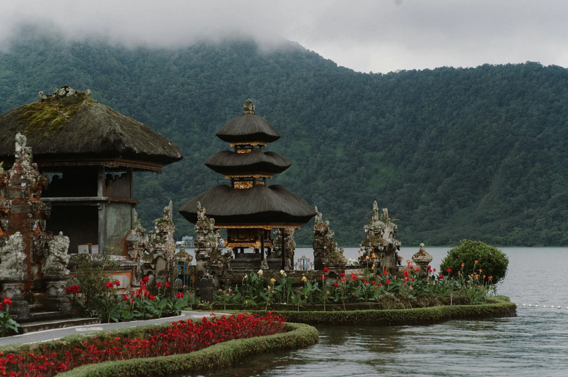Photo by Lucas Tran on Pexels | Jasa Website Tabanan illustration