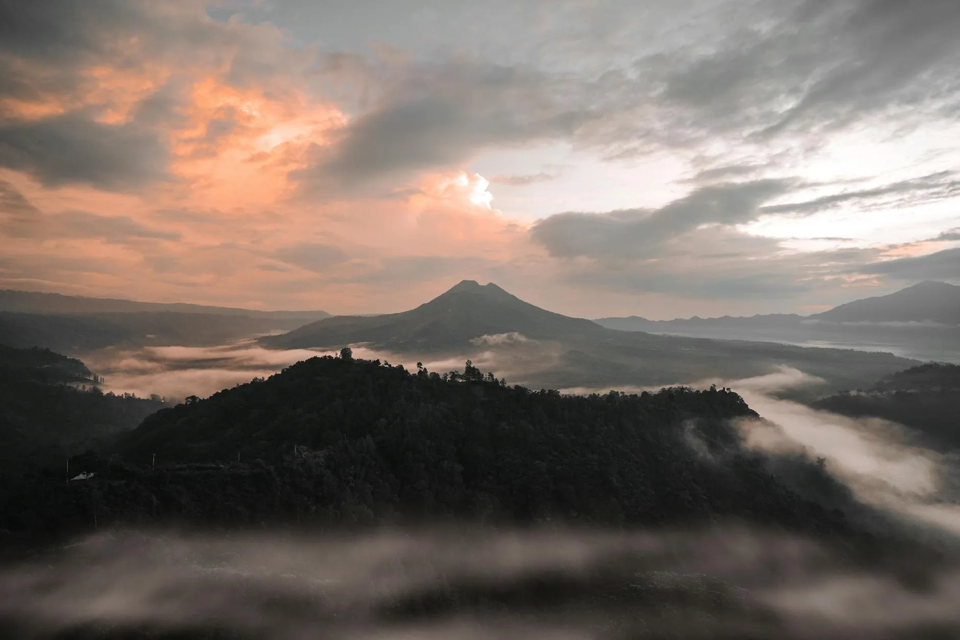 Photo by Sean Kernerman on Pexels | Jasa Pembuatan Website Pegunungan Arfak illustration